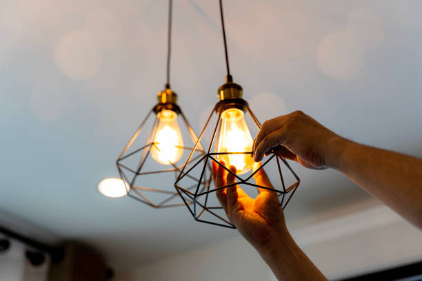 Best Local Electrician Companies  in Long Lake, MN